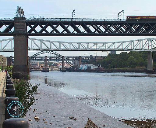 Tyne Bridges.jpg